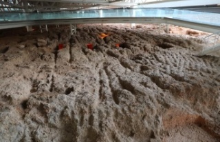 Doğu Garajı Nekropol Alanı müze oluyor