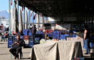 Dondurucu soğuklar sebebiyle Antalya haline gelen...