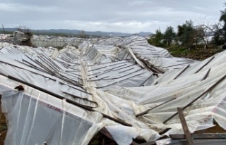 Dün gece etkili olan fırtına Alanyalı üreticiyi...