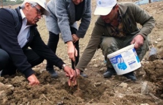 Gündoğmuş’a ceviz fidanı ve hamur makinesi yardımı