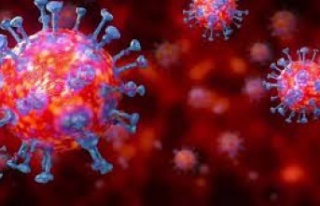 Kestelspor’da koronavirüs şoku
