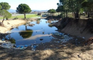 Kum hırsızları çevre katliamına sebep oluyor