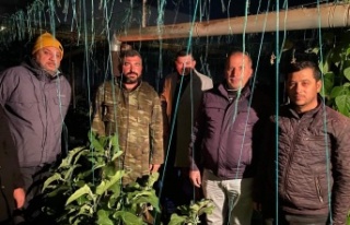 MHP Alanya'dan üreticilere ziyaret