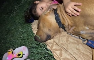 Prof. Dr. Ömer Özkan: "Asiye'nin normal...