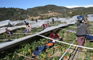 Seraları bu defa poyraz fırtınası vurdu