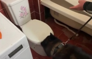 Suç makinesi uyuşturucu tacirlerine operasyon