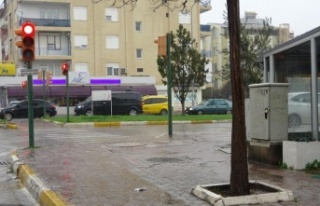 Tartışan sevgilileri ayırmak isterken canından...