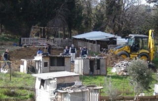 Vahşice katledilen kadının kardeşi konuştu