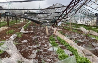 Aksu'da çıkan hortum 70 dekar ekili alana zarar...