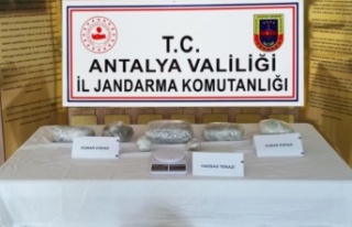 Alanya'da 2 kilo esrar ele geçirildi