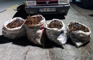 Alanya'da 150 kilo bakır kablo çalan 4 şüpheli...