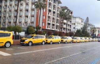 Alanya'da 850 TL'lik tutara büyük tepki