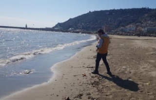 Alanya'da ağırlığı 2 ile 5 kilogram arasındaki...