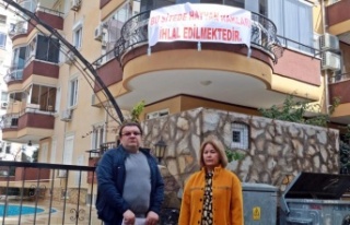 Alanya'da sokak kedilerinin mamaları toplatılınca...