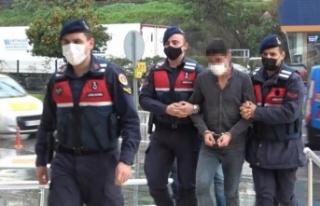 Alanya’da göçmen kaçakçıları tutuklandı