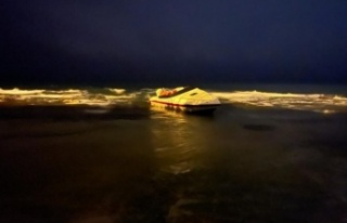 Alanya’da kaçak göçmen operasyonu