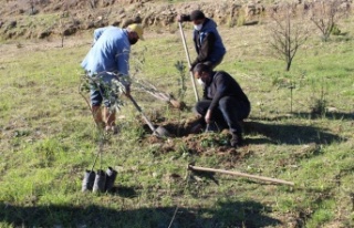 Antalya Büyükşehir Belediyesi’nden fidan desteği