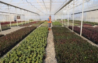 Bitki üretiminden 6 milyon TL tasarruf