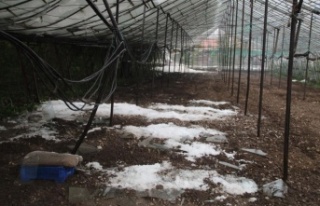 Dolu yağışı cam seraları yıktı