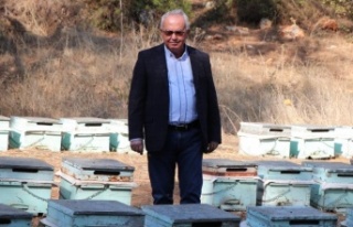 İklim krizi arıları da vurdu