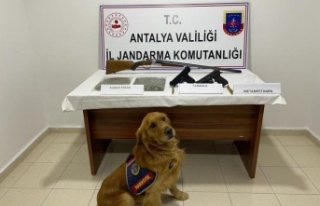 Jandarmadan uyuşturucu operasyonu: 2 gözaltı