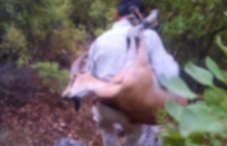 Kaçak yaban keçisi avına 420 bin TL ceza