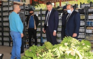 Kaymakam Ürkmezer’den hal ziyareti