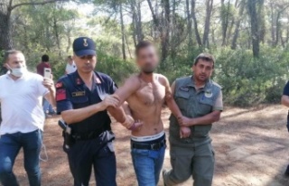 Orman yakarken yakalanan şüpheliye rekor ceza