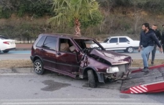 Otomobilin palmiye ağacına çarparak durduğu kazada...