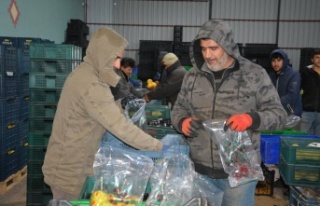 Romanya, Makedonya, Ukrayna’ya ayva ve karyağdı...