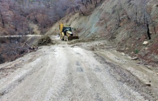 Şiddetli yağış heyelana sebep oldu