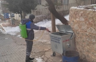 Sinekle mücadele kar kış demeden aralıksız sürüyor