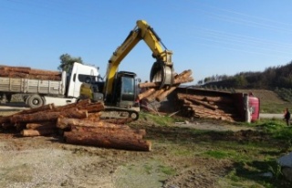 Yangın bölgesinde kesilen ağaçları taşıyan...