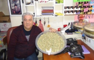 Yazın kilosu 10 lira, kışın kurusu 200 lira