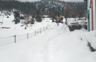 Yüksekte kar merkezde dolu ile mücadele