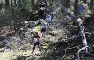 Alanya 2. Kademe Oryantiring Yarışması başlıyor