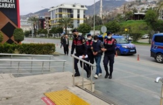 Alanya'da firari zehir taciri tutuklandı