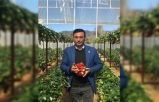 Alanya'da mazot ve gübre desteği takvimi açıklandı