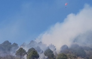 Alanya'da yangın bölgesi üzerinde yamaç paraşütü