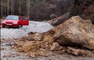 Alanya'da yürekler ağza geldi