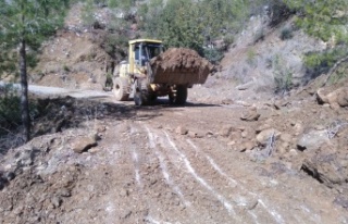 Alanya kırsalında yoğun mesai