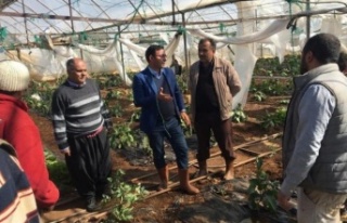 Başkan Göktepe, fırtına sonrası üreticiyi yalnız...