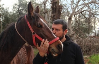 Çaldığı atla markete girip attan kasada indi