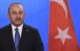 Dışişleri Bakanı Çavuşoğlu: 'Ülkelerin...