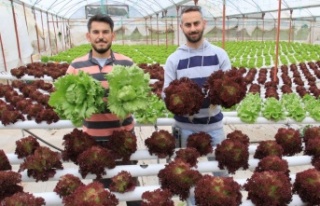 İşçiliği bırakıp çiftçiliğe başladılar,...