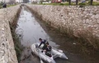 Kanala düşen köpek, ekipleri peşine taktı