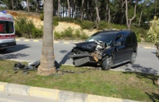 Kontrolden çıkan ticari araç palmiyeye çarptı:...