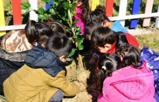 Manavgat’ta 120 çocuk fidan dikti