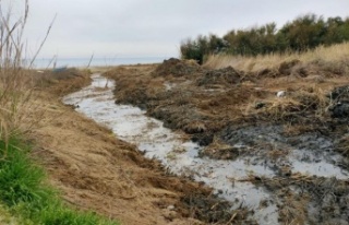 Plaj alanı açmak için dere yatağını değiştirdiler