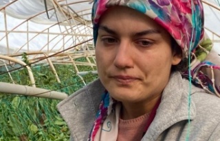 Serasını hortum vuran kadın çiftçinin gözyaşları